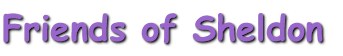 Friends of Sheldon